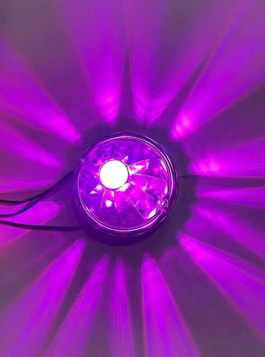WATERMELON LIGHTS LED AMS PURPURE SINGLE COLOR Tractolaser