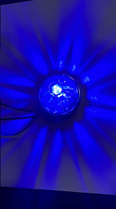 WATERMELON LIGHTS LED AMS BLUE SINGLE COLOR Tractolaser